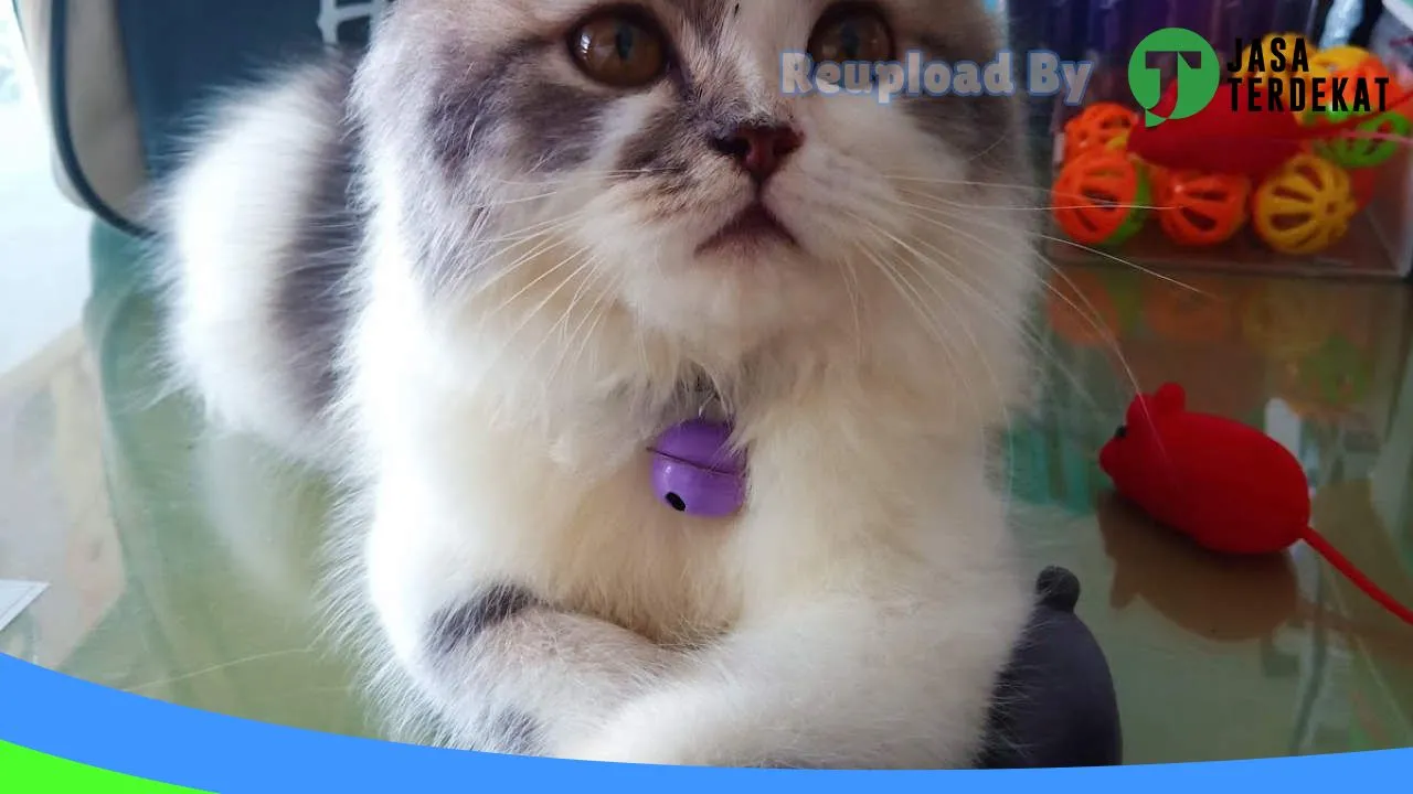 Gambar Chiro PetShop Prabumulih di Prabumulih, Sumatera Selatan ke 3