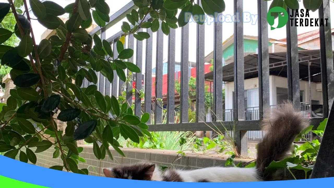 Gambar RUMAHKUCINGSOROWAKO di Luwu, Sulawesi Selatan ke 4