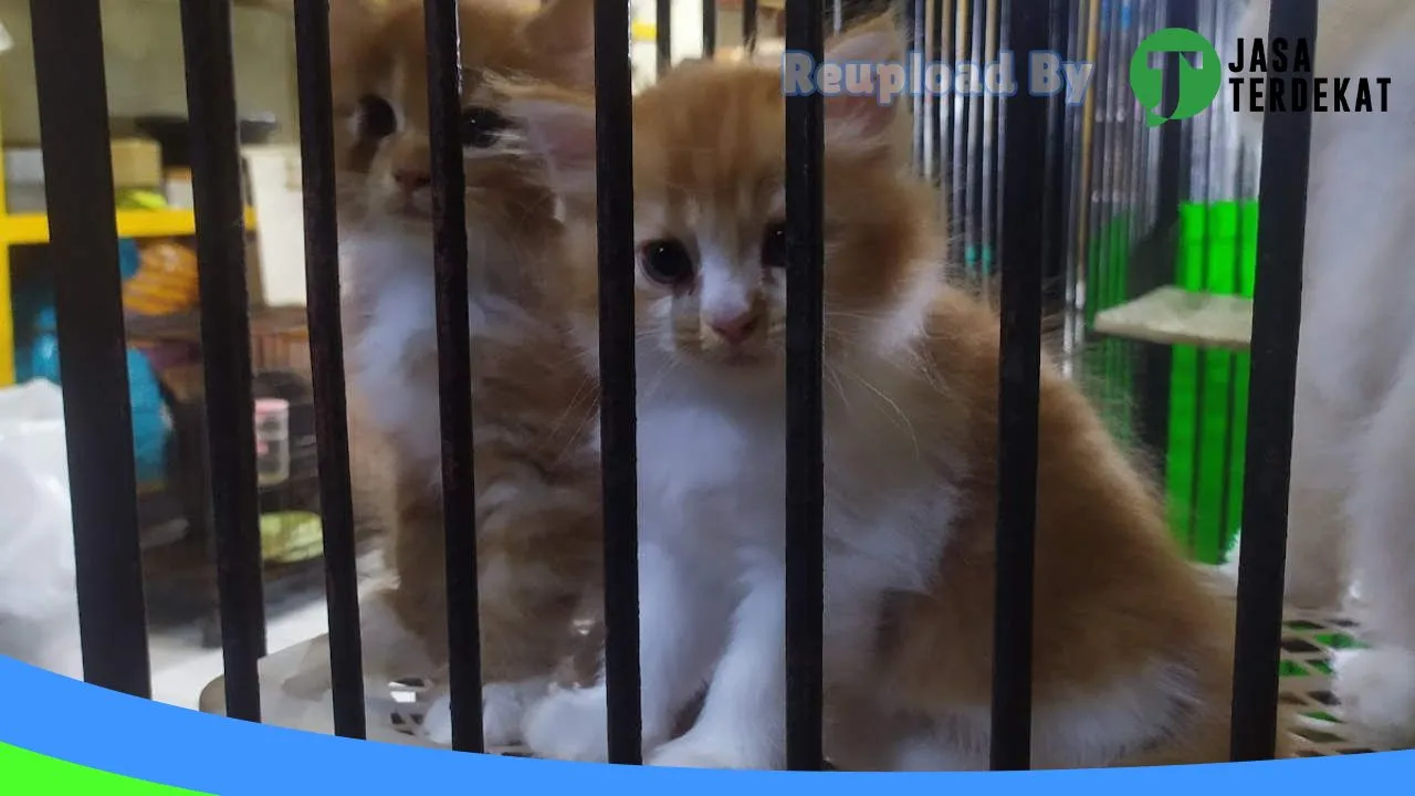 Gambar Unique Petshop & Stuff di Aceh Utara, Aceh ke 3