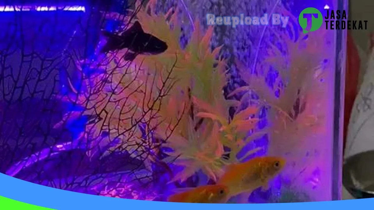 Gambar Pahlawan petshop di Paser, Kalimantan Timur ke 5