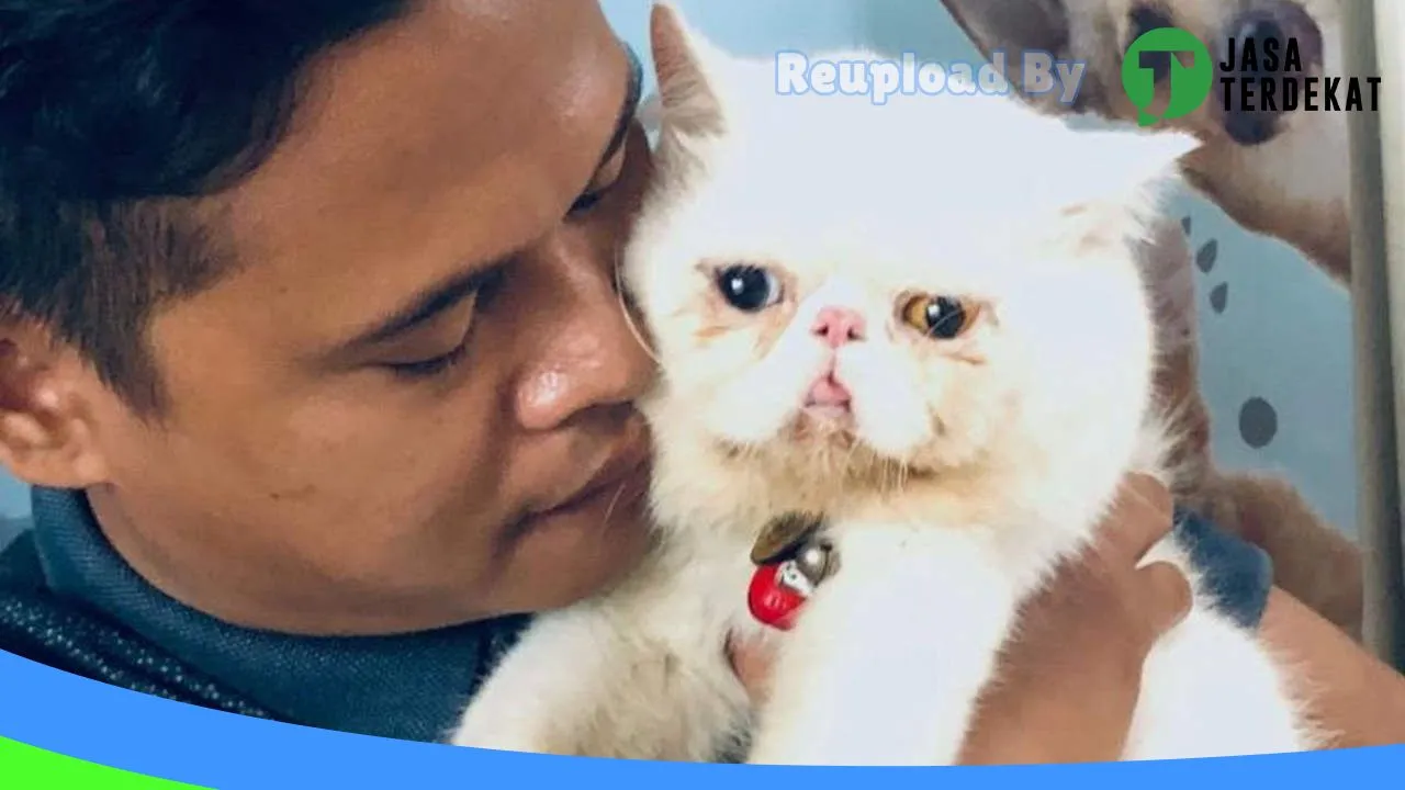 Gambar Deeva Petshop & Praktek Dokter Hewan di Jakarta Timur, DKI Jakarta ke 1