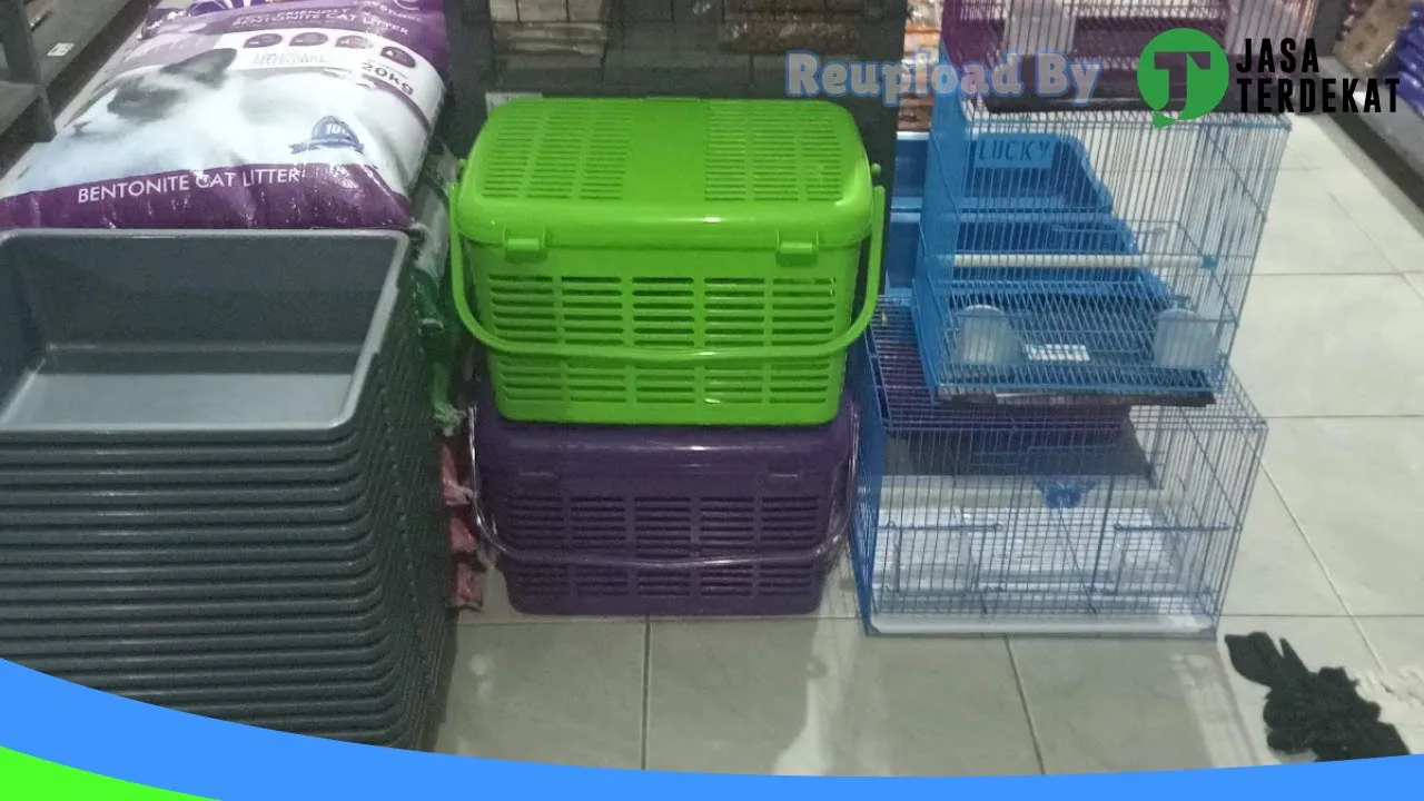 Gambar Leon Petshop di Kubu Raya, Kalimantan Barat ke 3