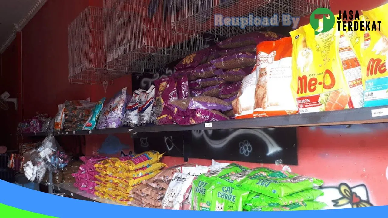 Gambar Cemara Petshop Tbi di Tebing Tinggi, Sumatera Utara ke 1