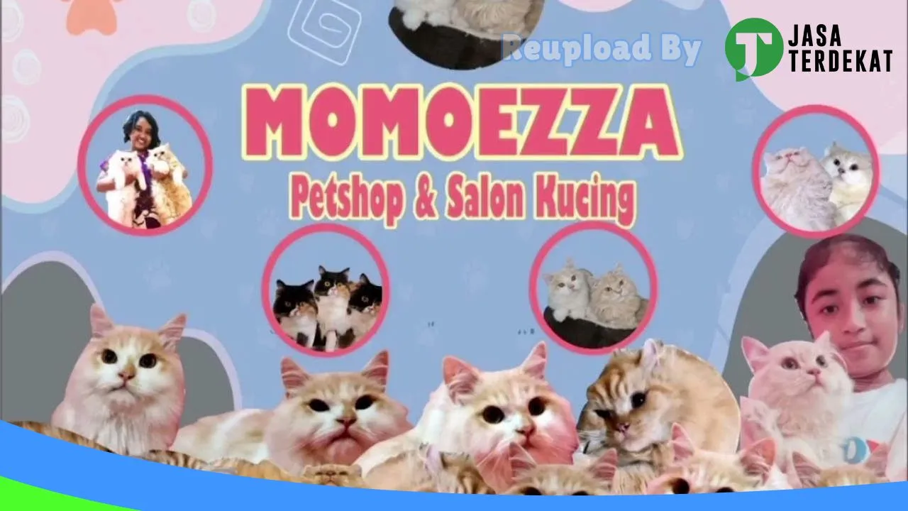 Gambar Momoezza Petshop Dan Praktek Dokter Hewan Praktek Sore di Karanganyar, Jawa Tengah ke 1