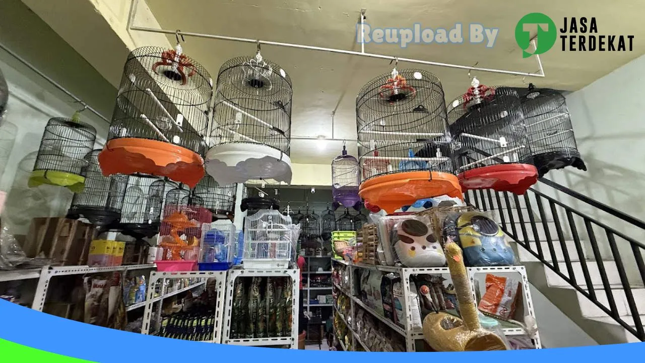 Gambar Toko sanil petshop dan akuarium di Ambon, Maluku ke 1