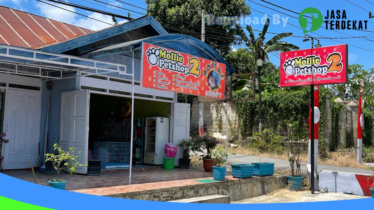 Gambar MOLLIE PETSHOP 2 di Buton, Sulawesi Tenggara ke 2