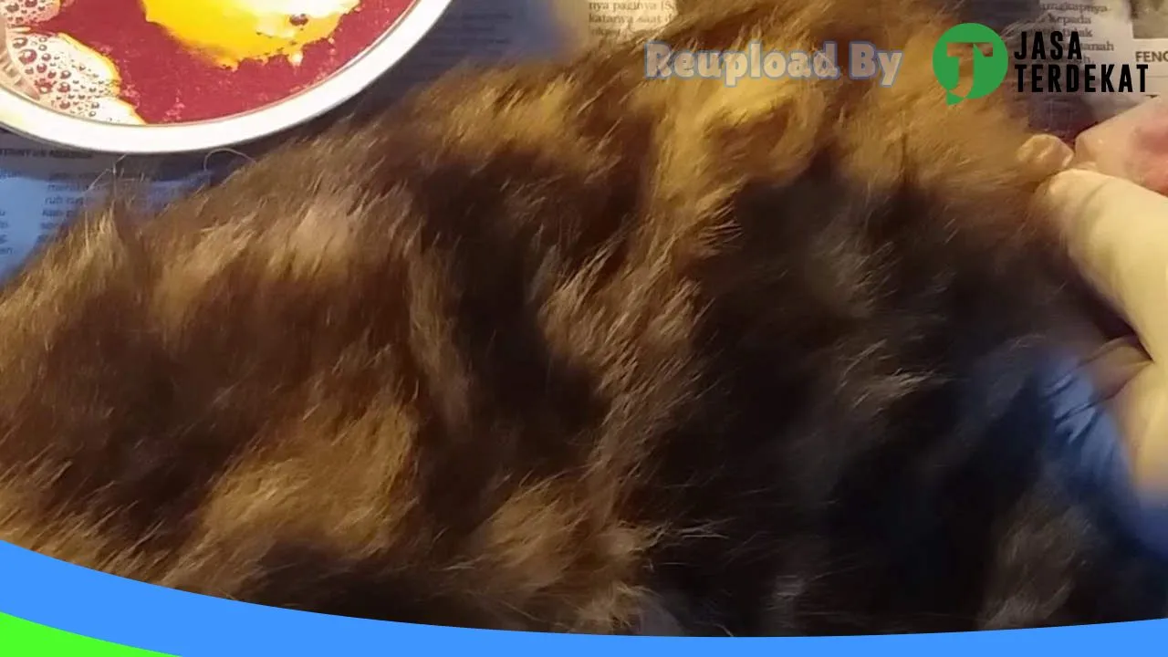 Gambar AVA Petshop & Petcare di Gunung Kidul, DI Yogyakarta ke 2