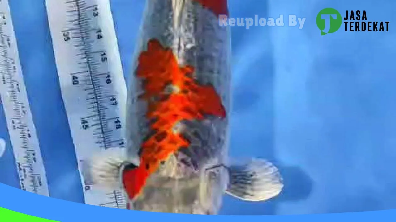 Gambar Bangkalan Aquarium di Bangkalan, Jawa Timur ke 1