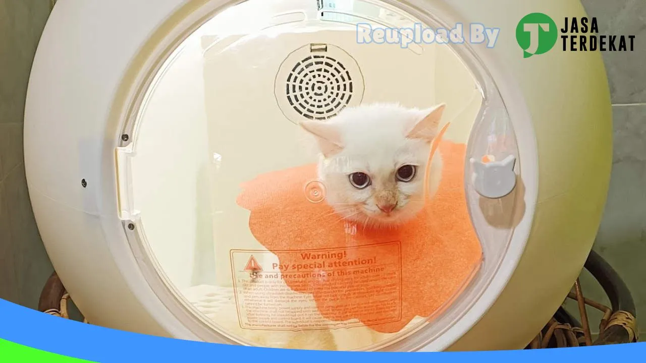 Gambar BUBUKU GROOMING PILIHAN di Kotawaringin Timur, Kalimantan Tengah ke 1