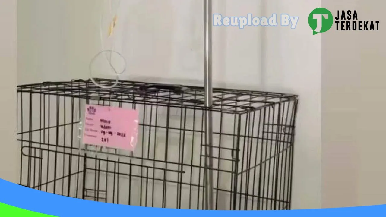 Gambar Tifani Petshop and Petcare Praktek Dokter Hewan di Wajo, Sulawesi Selatan ke 1