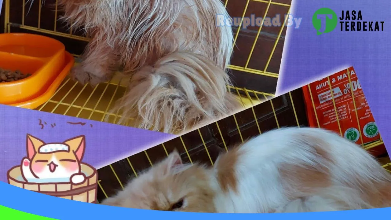 Gambar Bless Catshop di Cianjur, Jawa Barat ke 5