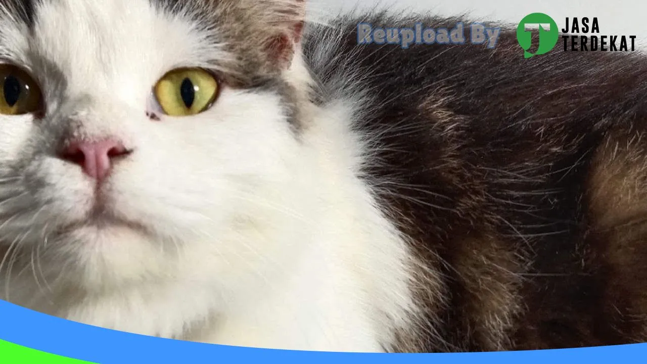 Gambar Petcare Jombang di Jombang, Jawa Timur ke 3