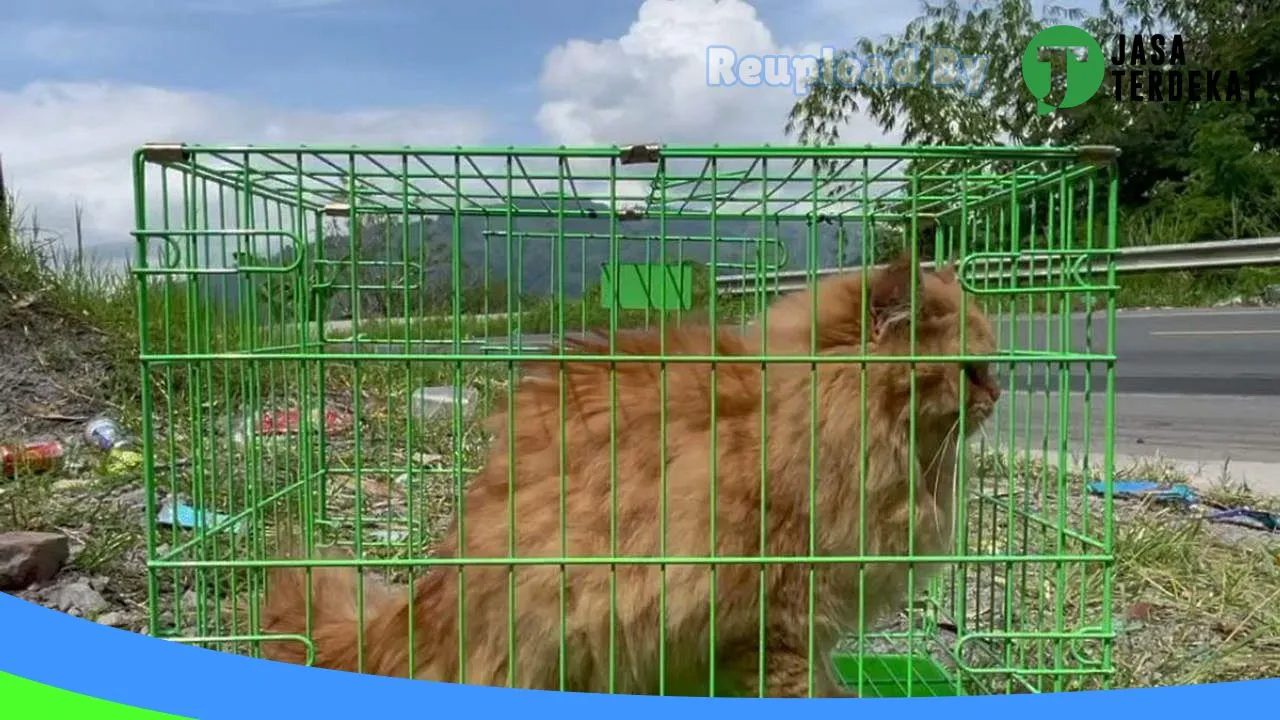 Gambar Yunamora Petshop di Bener Meriah, Aceh ke 1