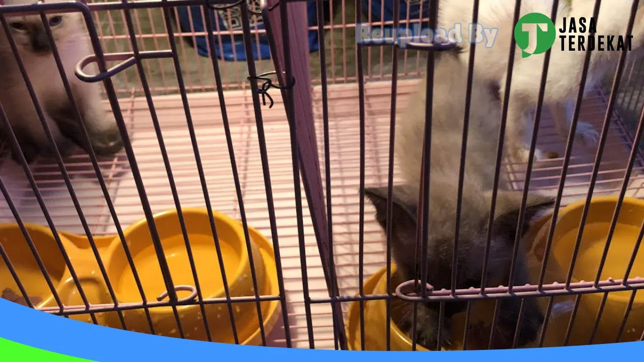 Gambar K – Praktek Dokter Hewan dan Petshop di Hulu Sungai Selatan, Kalimantan Selatan ke 3