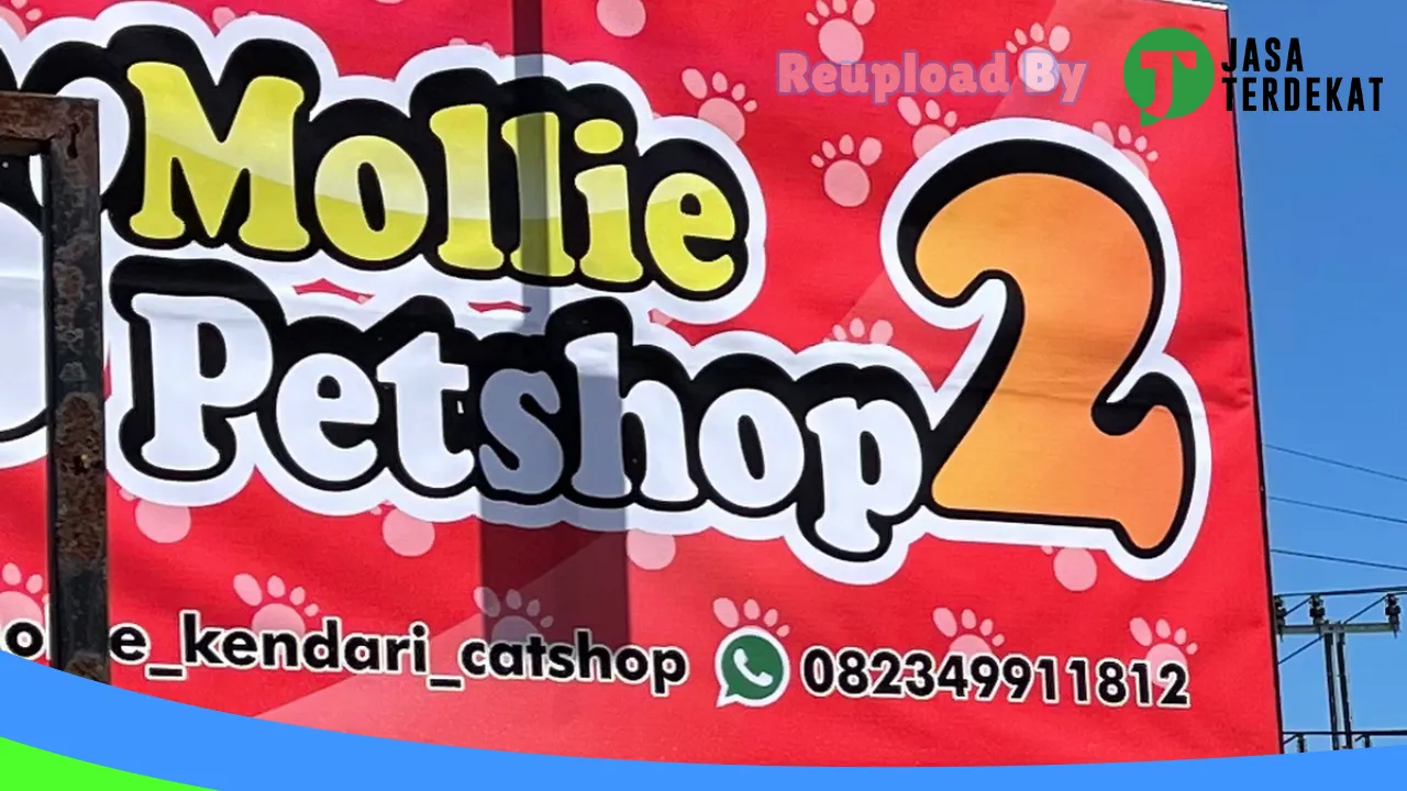 Gambar MOLLIE PETSHOP 2 di Buton, Sulawesi Tenggara ke 5