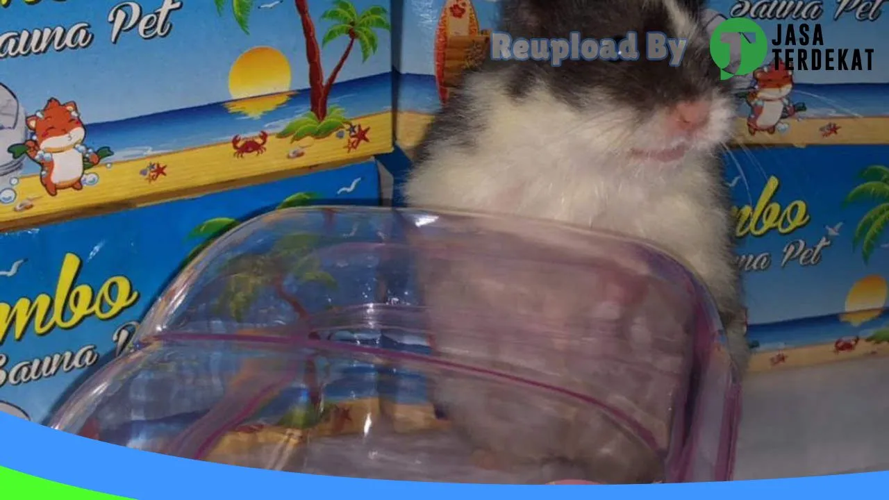 Gambar hamster jayapura di Jayapura, Papua ke 4