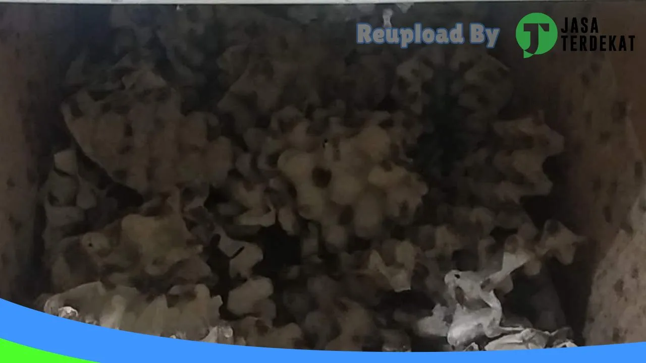 Gambar Bird Shop Mas Adul Khan di Tapanuli Selatan, Sumatera Utara ke 2