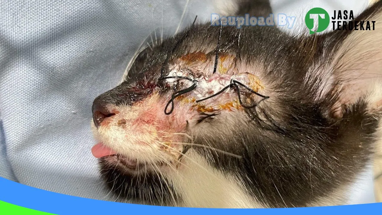 Gambar ABC Pet Shop & Pet Clinic di Klaten, Jawa Tengah ke 3