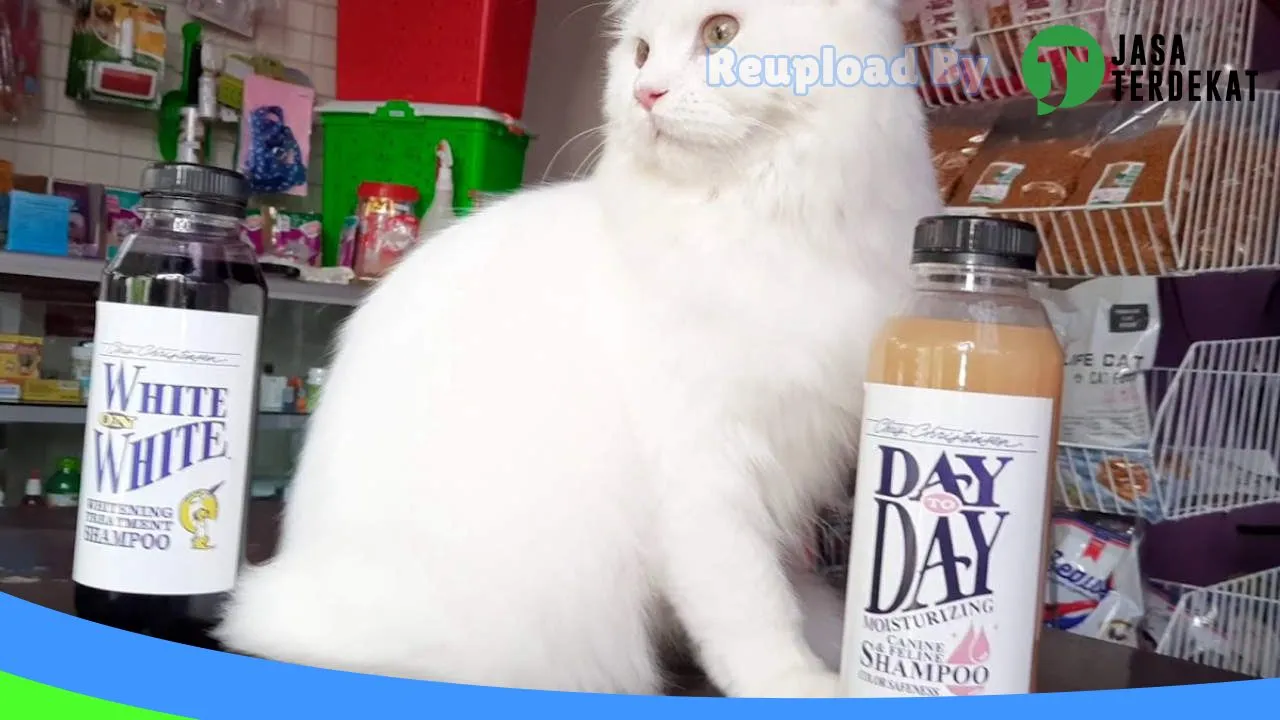 Gambar Rumah Satwa – Pet Shop & Clinic drh. Rahma Yetni di Tanah Datar, Sumatera Barat ke 1