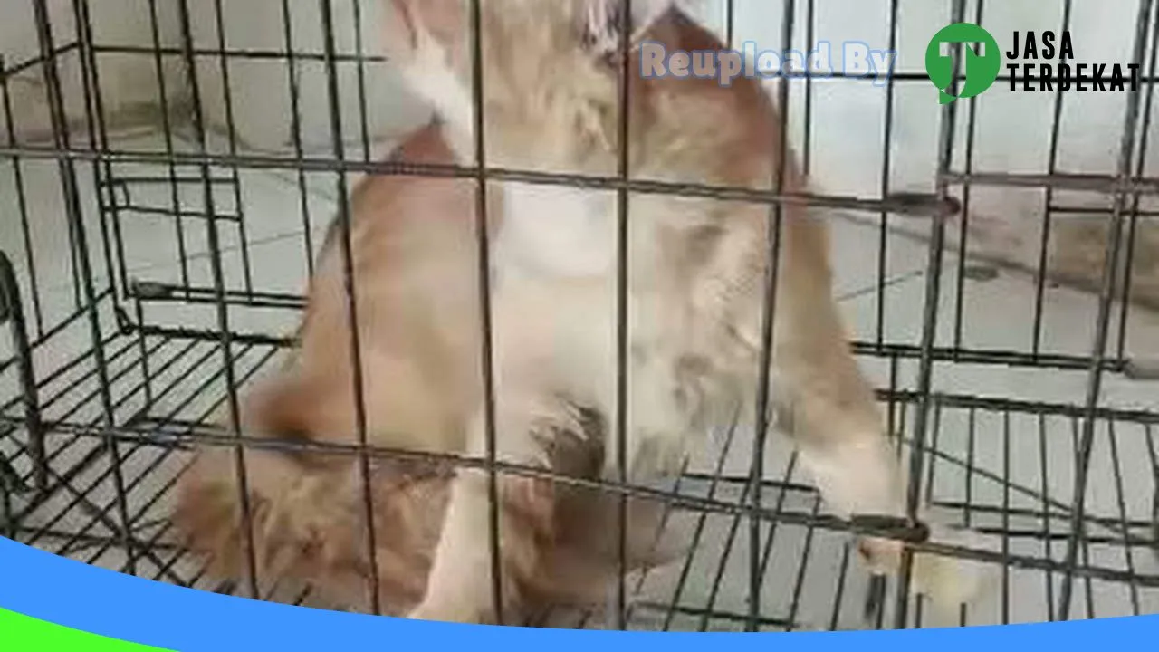 Gambar Yy Petshop & petcare teguhan di Sragen, Jawa Tengah ke 1