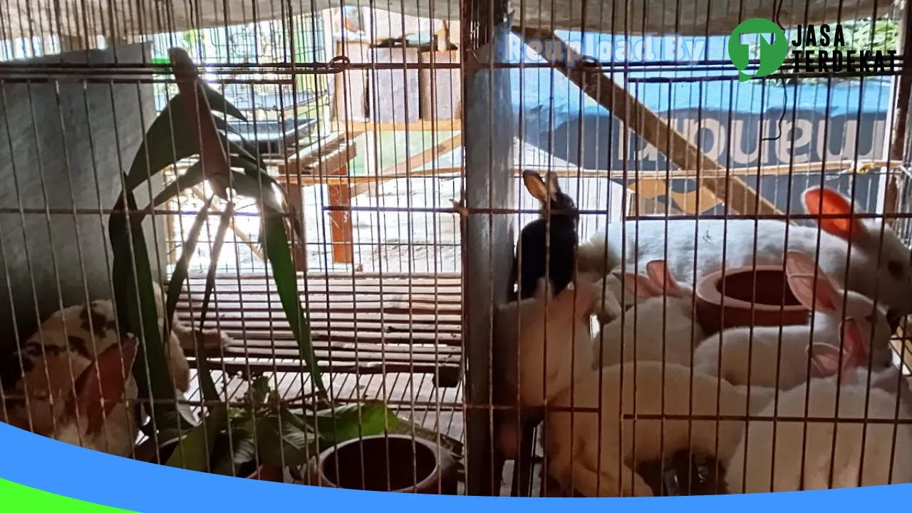 Gambar KELINCIKU PACITAN di Pacitan, Jawa Timur ke 3