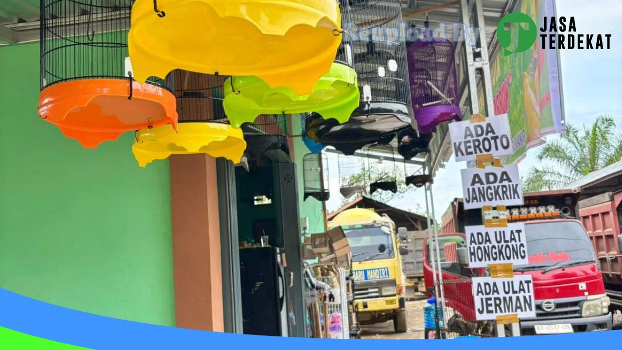Gambar Kios burung nurrohman labib di Paser, Kalimantan Timur ke 4