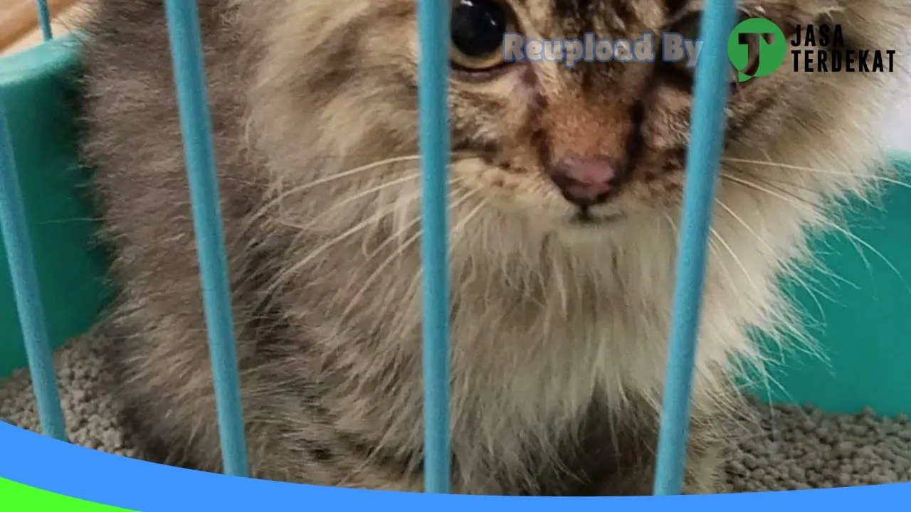 Gambar Zheze Vet (Dokter Hewan & Pet Shop) Takalar di Takalar, Sulawesi Selatan ke 3