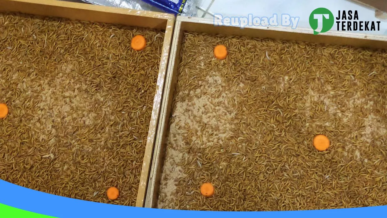 Gambar ALASKA PETSHOP di Tanjungbalai, Sumatera Utara ke 4