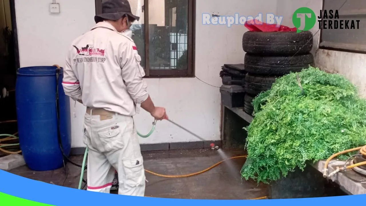 Gambar Anti Rayap | Pembasmi Rayap | Pengendalian Rayap | Pest Control | Fogging Nyamuk | Nusantara Pest Tangerang di Lebak, Banten ke 5