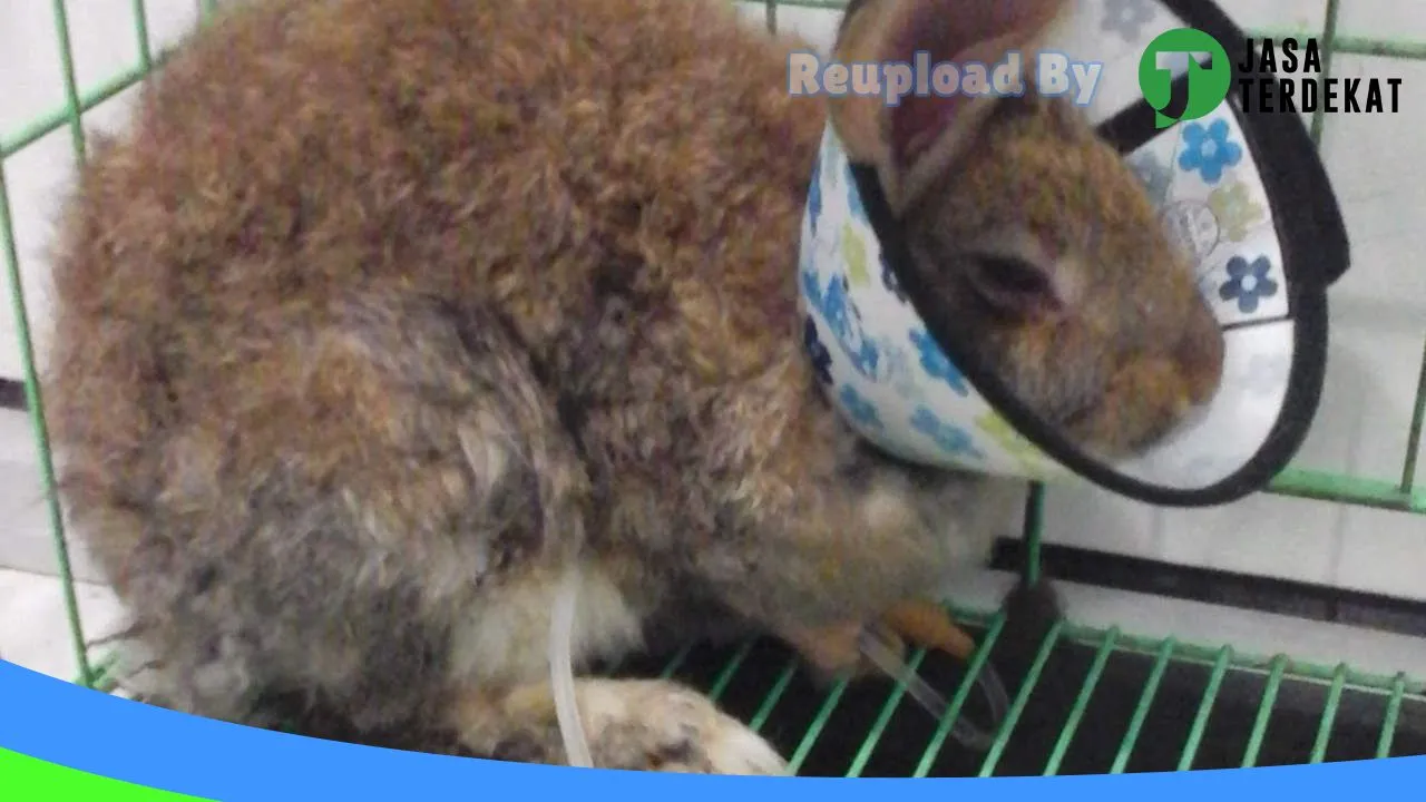 Gambar “Calling Vet” Praktek Dokter Hewan dan Petshop di Jombang, Jawa Timur ke 3