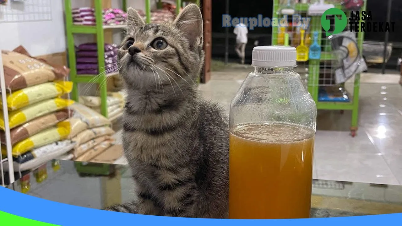 Gambar Yunamora Petshop di Bener Meriah, Aceh ke 4