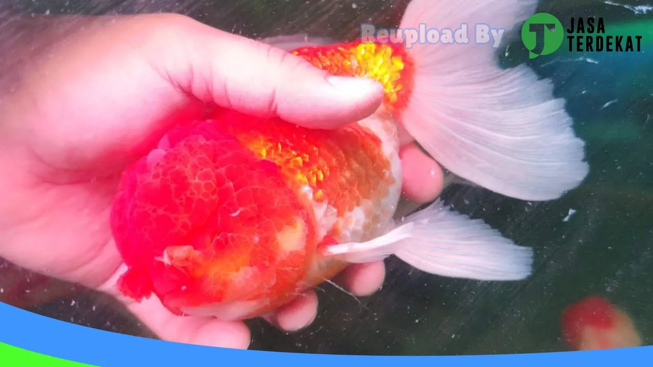 Gambar Nakama Aquatic di Tapanuli Selatan, Sumatera Utara ke 5