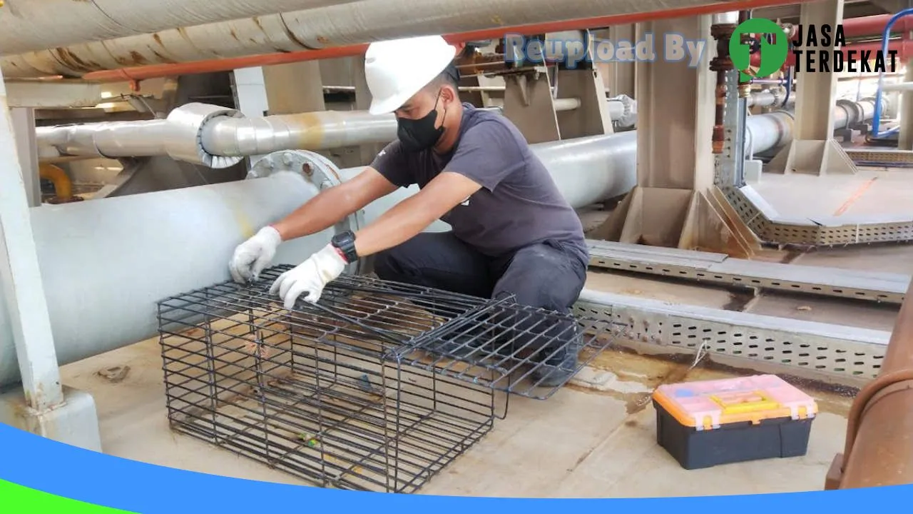 Gambar PT. PANCA LESTARI PESTINDO, PEMBASMI HAMA – FUMIGASI MEDAN di Deli Serdang, Sumatera Utara ke 1