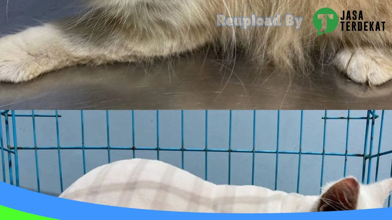 Gambar MD CLINIC&PETSHOP di Labuhanbatu Selatan, Sumatera Utara ke 1