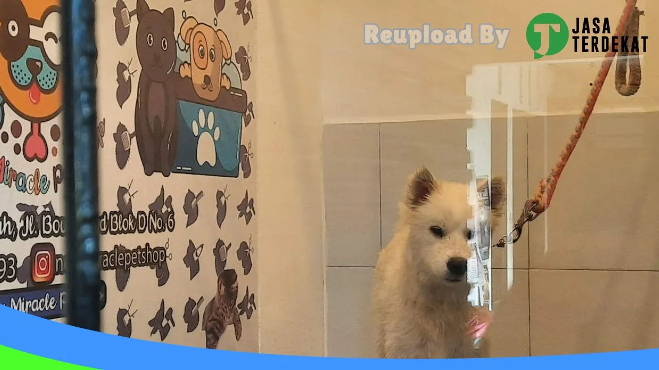 Gambar New Miracle PetShop di Minahasa Utara, Sulawesi Utara ke 1