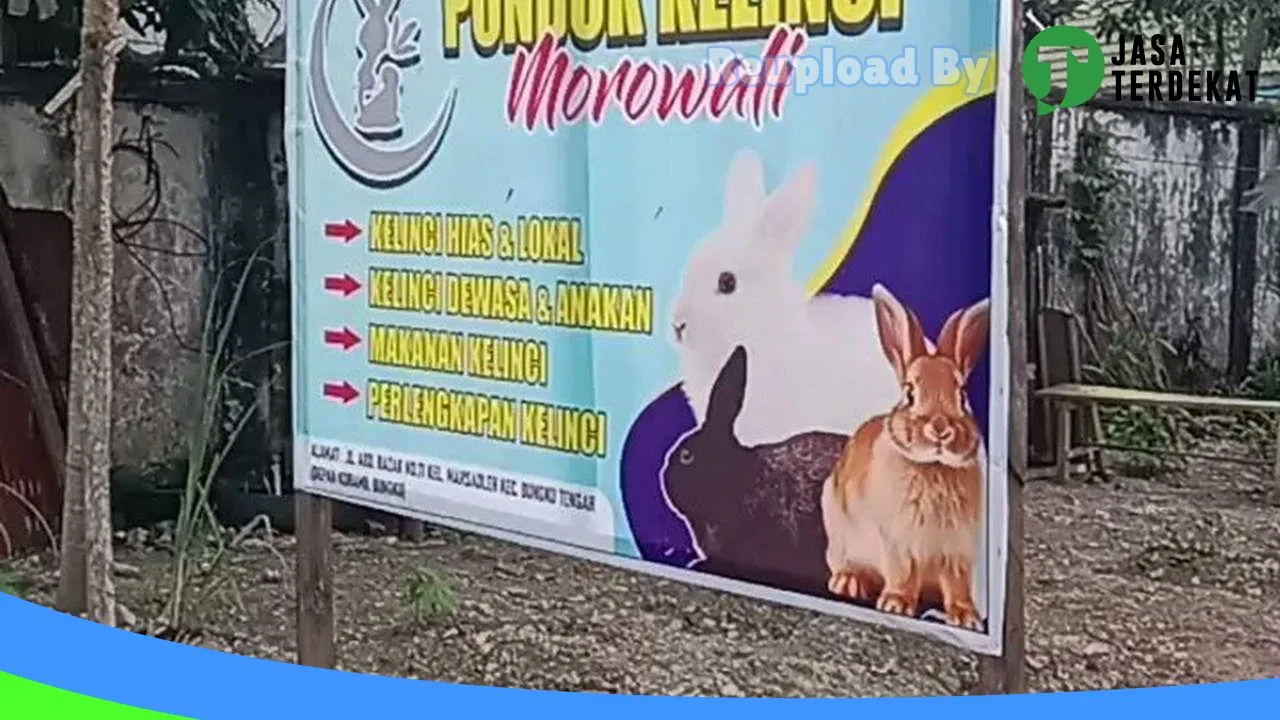 Gambar Uphyk Pondok Kelinci di Morowali, Sulawesi Tengah ke 1