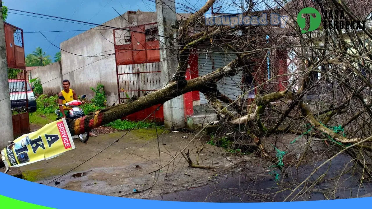 Gambar Toko aki (RIZKI AKI) di Lombok Timur, Nusa Tenggara Barat ke 3