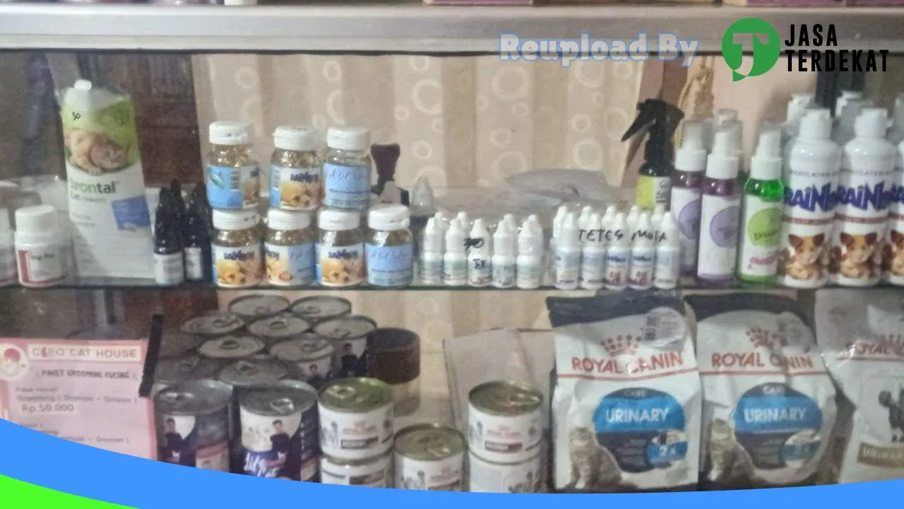 Gambar CLEO PETSHOP di Sukamara, Kalimantan Tengah ke 4