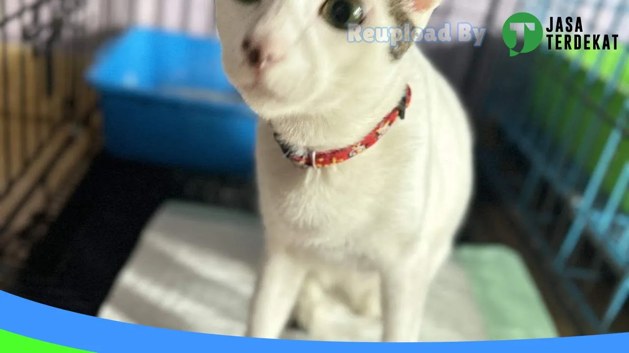 Gambar Ohana Vet Care (Praktik Dokter Hewan Muara Enim) di Muara Enim, Sumatera Selatan ke 3