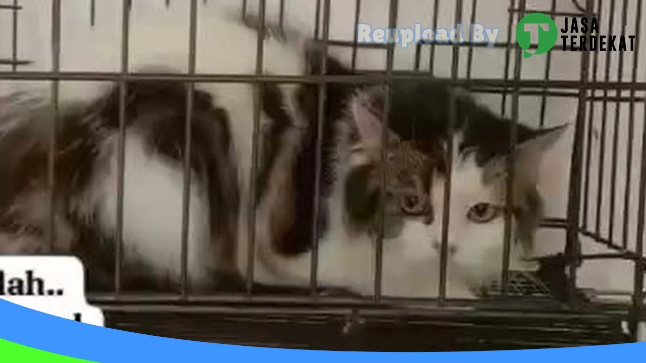 Gambar Yy Petshop & petcare teguhan di Sragen, Jawa Tengah ke 2