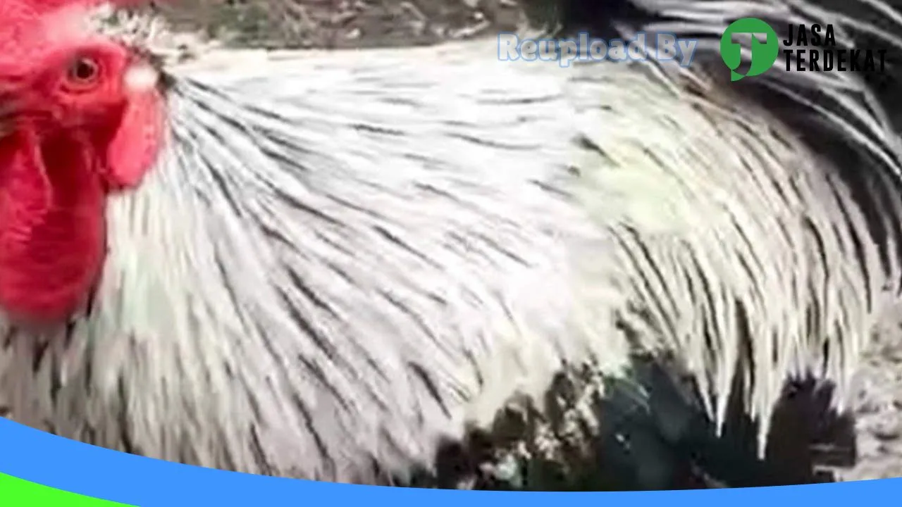 Gambar Mayza Farm di Tapin, Kalimantan Selatan ke 1