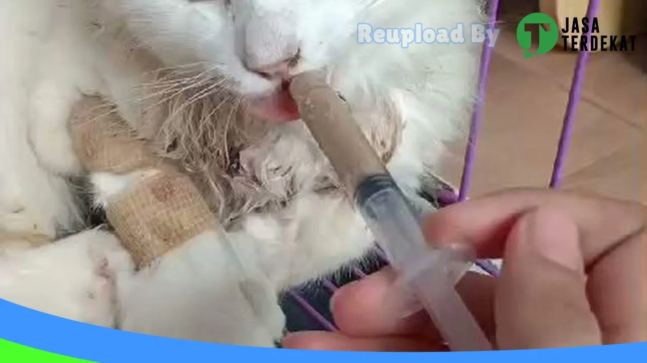 Gambar “Calling Vet” Praktek Dokter Hewan dan Petshop di Jombang, Jawa Timur ke 4