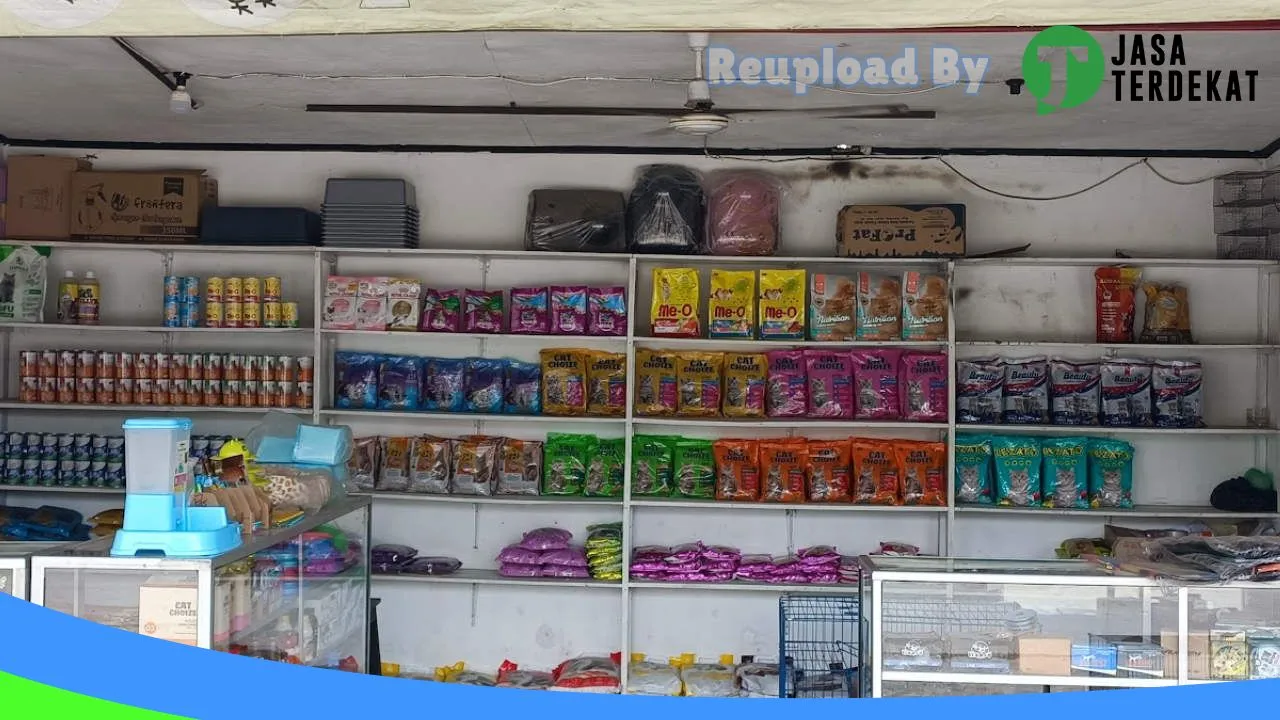 Gambar NEKO PETSHOP di Lampung Tengah, Lampung ke 3
