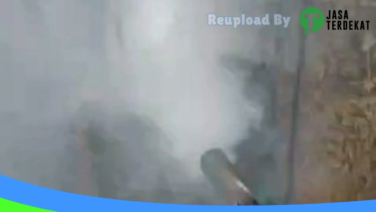 Gambar Termite Control Bali : Pembasmi Rayap, Fogging Nyamuk, di Karangasem, Bali ke 4