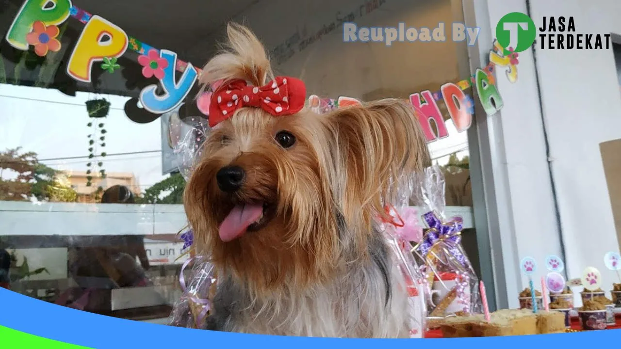 Gambar Orchid Petshop samarinda di Samarinda, Kalimantan Timur ke 4