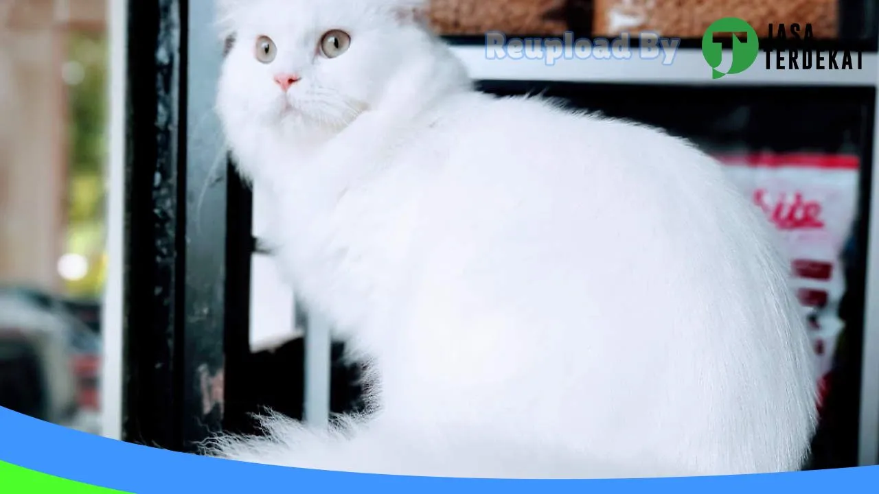 Gambar Rumah Satwa Pet Shop & Klinik Batusangkar di Tanah Datar, Sumatera Barat ke 2