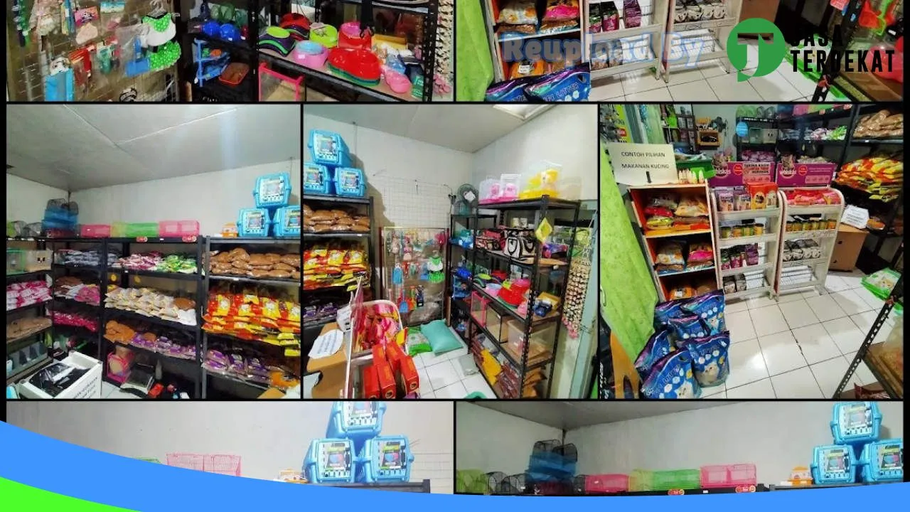 Gambar Marise Pet Shop & Sugar glider di Kota Bandung, Jawa Barat ke 1