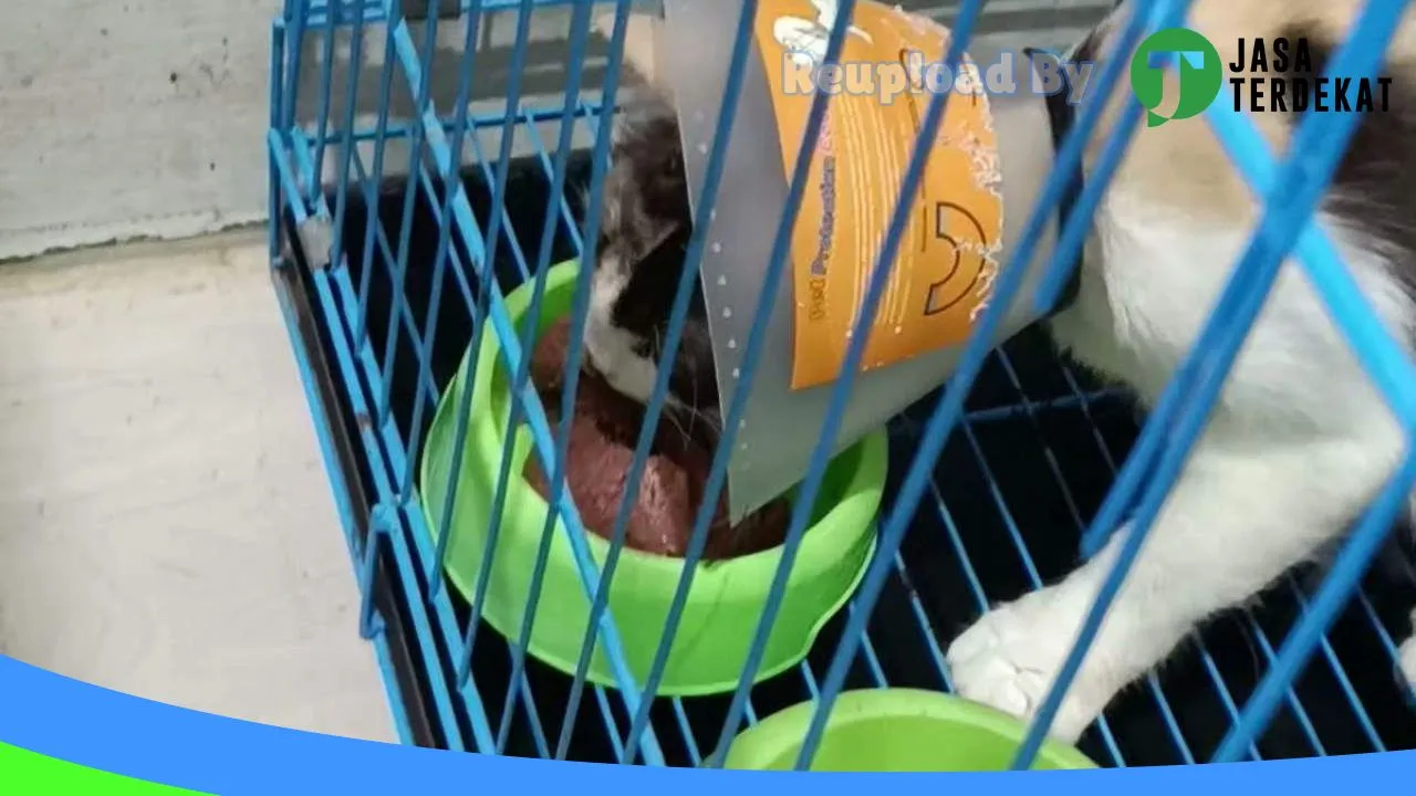 Gambar AA PETCARE PETSHOP & GROOMING, Dokter Hewan Yossy Yondhana di Jombang, Jawa Timur ke 5