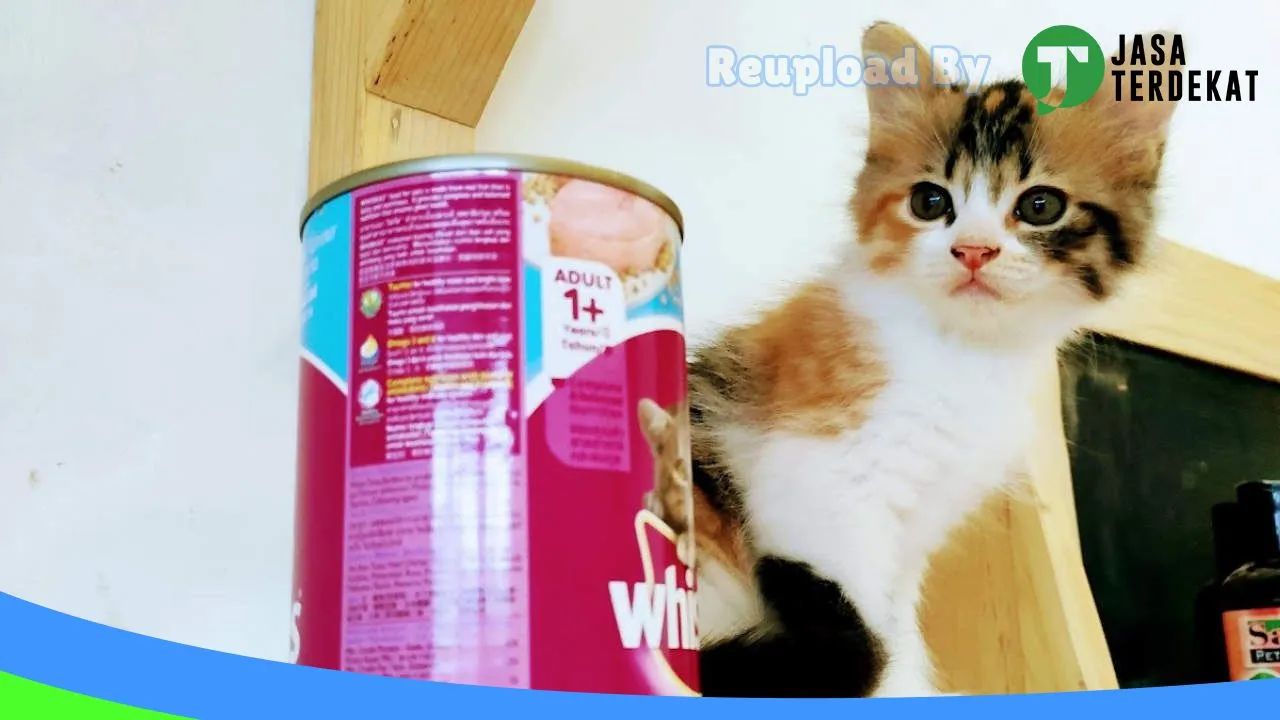 Gambar Garasi Petshop Sragen di Sragen, Jawa Tengah ke 4