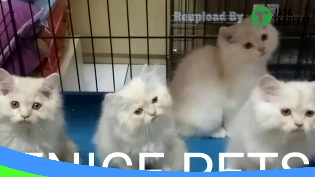 Gambar Venice Petshop di Medan, Sumatera Utara ke 1